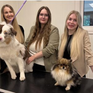 Hundeklipp og komplett pelsstell hos HIT Hundesalong